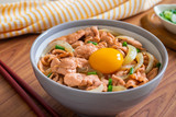 Fried pork with egg and rice in bowl. Japanese food style, Donburi