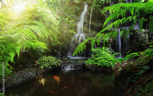waterfall in the forest © sittinan