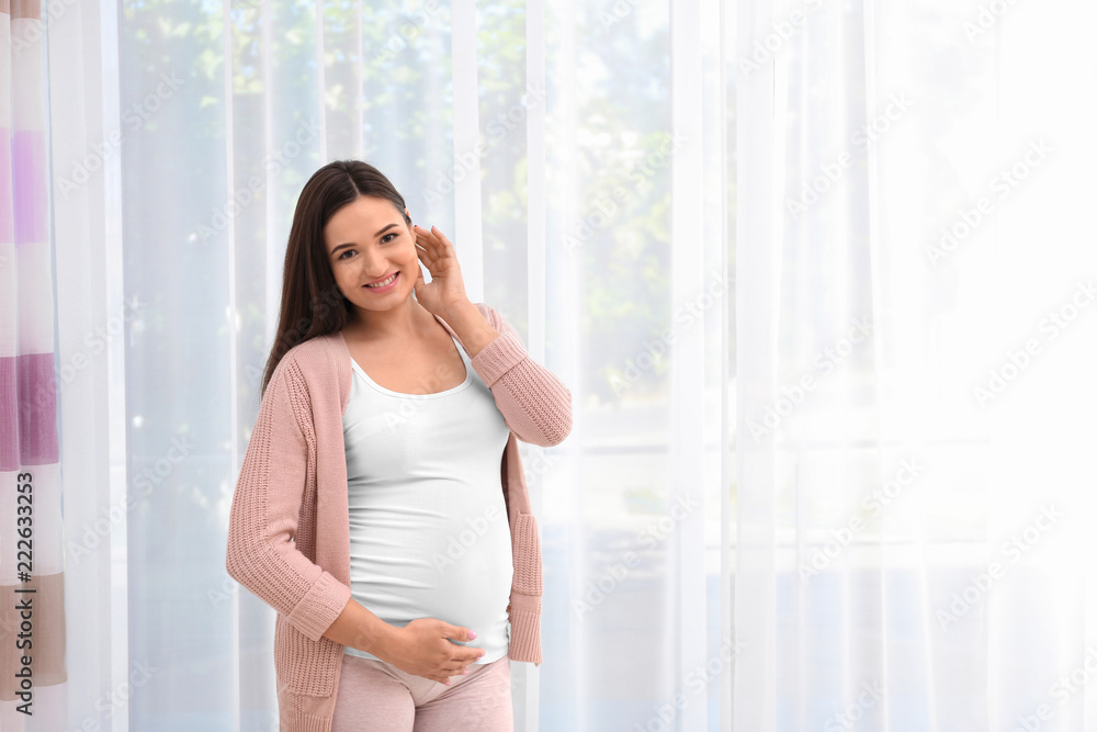 Young beautiful pregnant woman near window at home Young beautiful pregnant woman near window at home