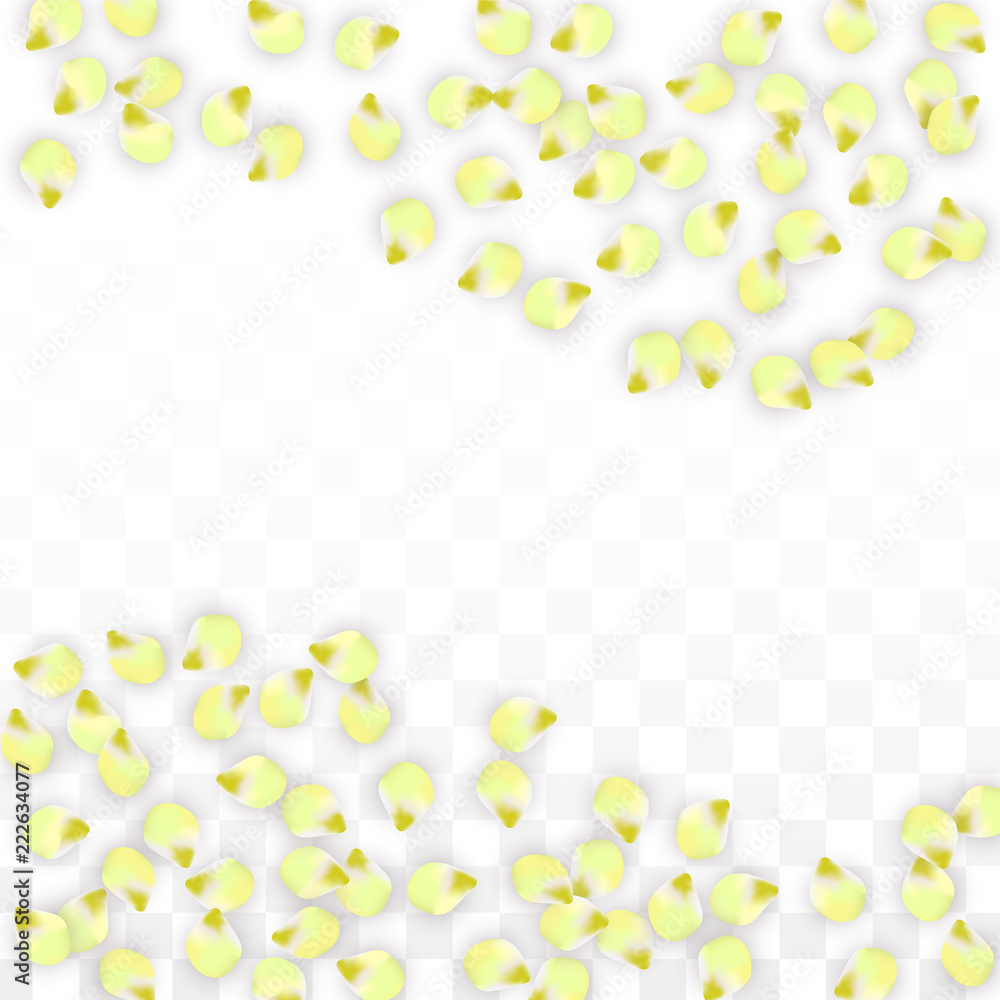 Vector Realistic Pink Petals Falling on Transparent Background. Spring Romantic Flowers Illustration. Flying Petals. Sakura Spa Design. Blossom Confetti. Vector Realistic Pink Petals Falling on Transparent Background. Spring Romantic Flowers Illustration. Flying Petals. Sakura Spa Design. Blossom Confetti.