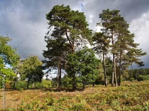 Obraz Tour Wahner Heide