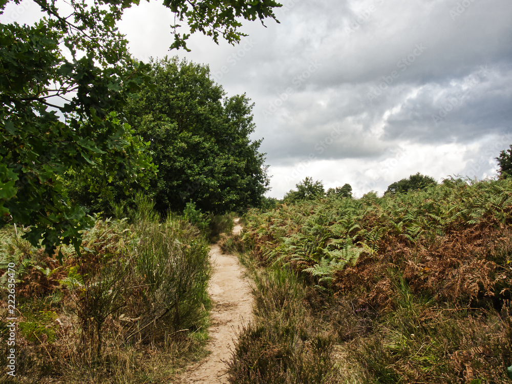 Rundgang Wahner Heide 