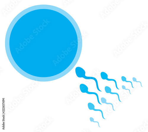 Sperm and egg cell vector illustration