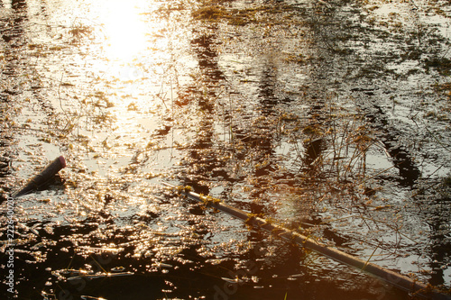 Golden light of sunset reclection on the surface of the lake photo