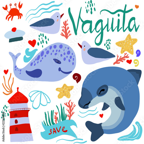vaquita marina vector illustration