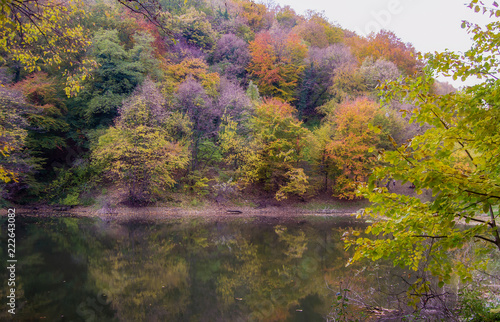 Colorful autumn forest and a lake. Fall. 