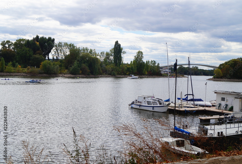 Der Hafen in Wiesbaden Schierstein am Rhein mit einer Brücke