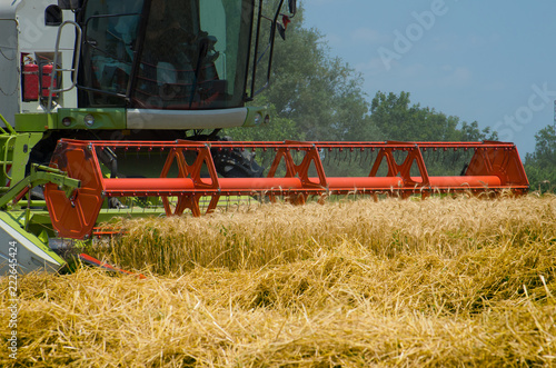 Combine harvester machine harvesting ripe wheat crops in cultivated agricultural field.