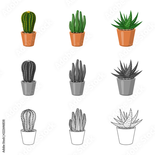 Vector design of cactus and pot icon. Collection of cactus and cacti vector icon for stock. © Svitlana