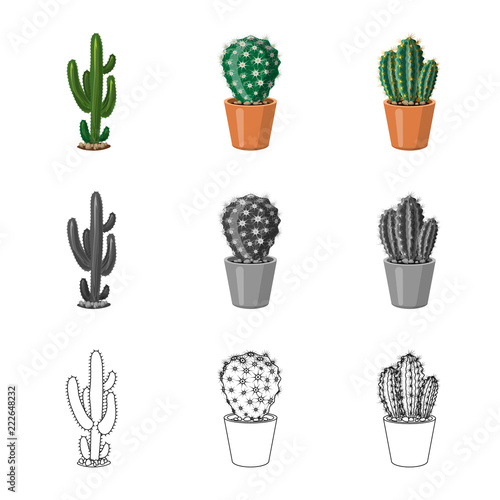 Vector design of cactus and pot symbol. Set of cactus and cacti stock vector illustration.