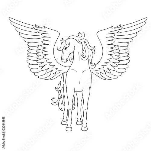 Isolated black outline standing pegasus on white background. Front view. Curve lines. Page of coloring book.