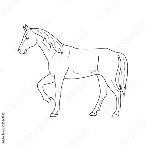 Isolated black outline standing horse on white background. Side view. Curve lines. Page of coloring book.