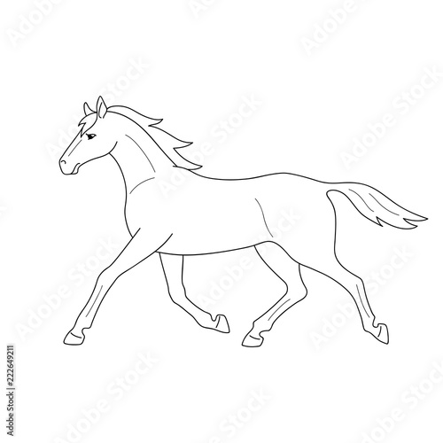 Isolated black outline running, trotting horse on white background. Side view. Curve lines. Page of coloring book.
