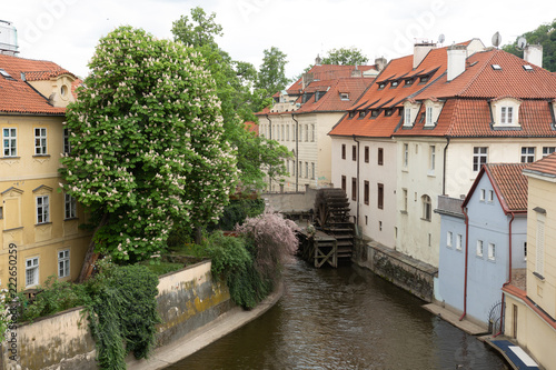 street of Prague. trees and houses with red roofs along the river