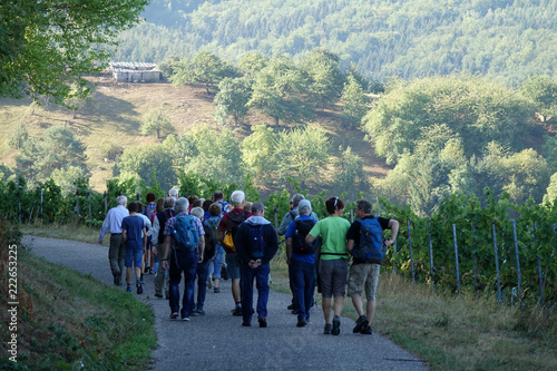 Wandern bei Löwenstein