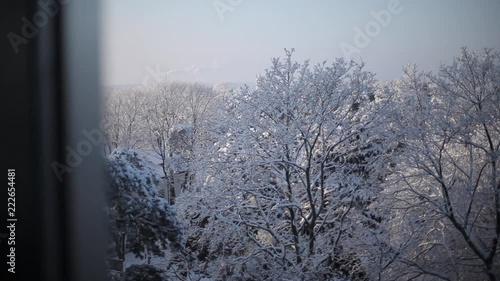 View from a window in the trees in the snow