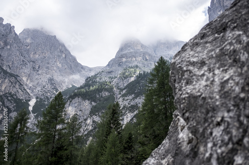 Salita al rifugio Velo della Madonna - San Martino di Castrozza