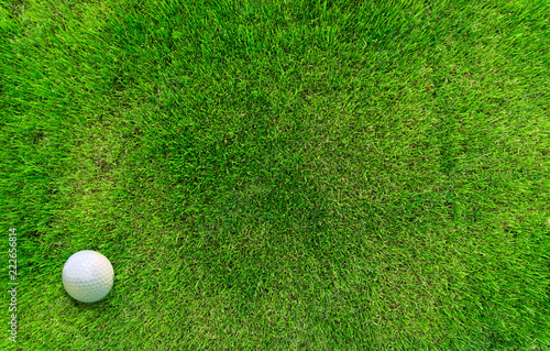 Golf Ball Lying on Green Grass View from Above