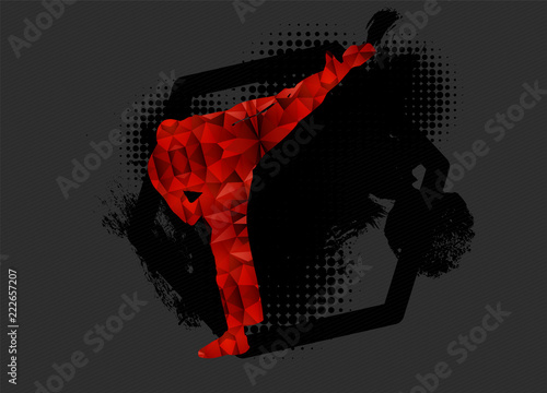 Young male karate warrior. Healthy lifestyle.