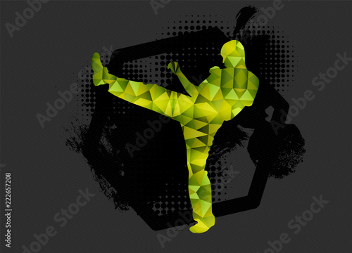 Young male karate warrior. Healthy lifestyle.