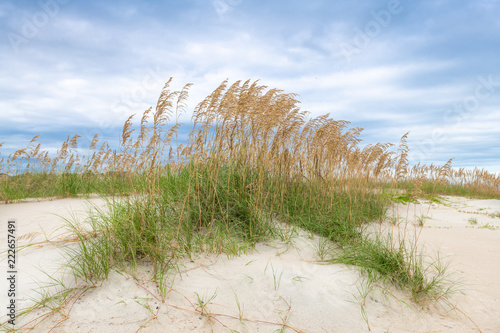 Fototapeta Naklejka Na Ścianę i Meble -  sand dunes and blue sky