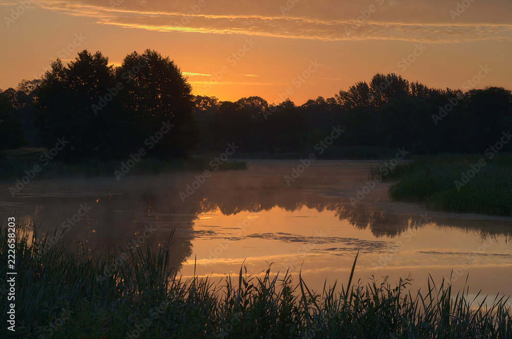Fototapeta premium Poranek nad starorzeczem