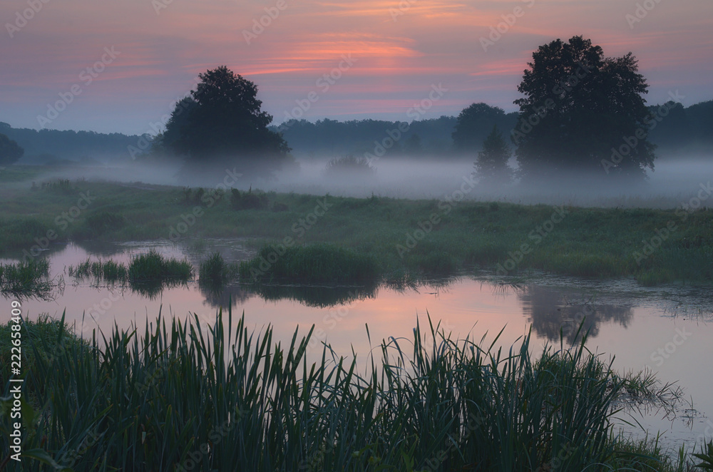 Fototapeta premium Mgły poranka