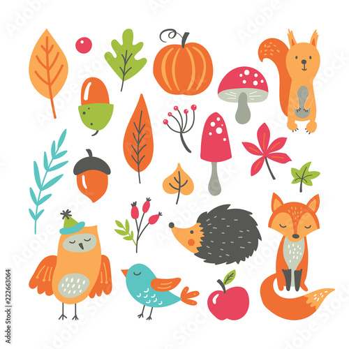 Autumn concept with fall season collection of forest woodland animals