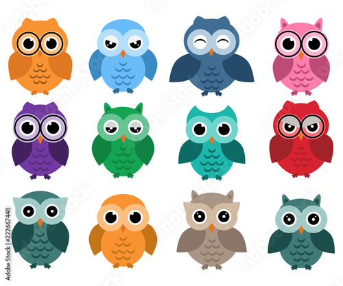 Owls set, different owls with emotions
