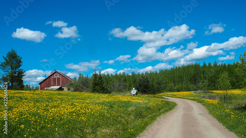 finnish house in beautiful landscape