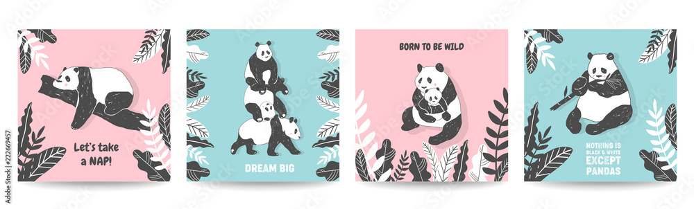 Fototapeta premium Śliczne ilustracje Miś Panda, kolekcja plakatów w prostym stylu, okładki, kartki z życzeniami urodzinowymi, druk ścienny w wektorze
