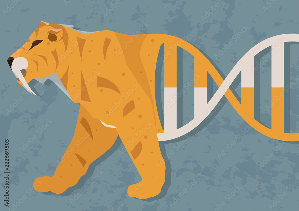 Sabretoothed tiger from DNA. Possibility of resurrection biology or