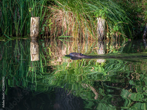 Spreewald-02