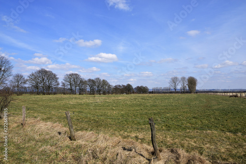 Gruenes Feld mit Baeumen und Zaun im Sonnenschein, Green field with trees and fence in the sunshine © Robert