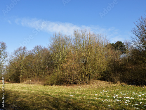 Herbstlandschaft mitr Weg und Bueschen im Sonnenschein, Autumn landscape with path and bushes in the sunshine