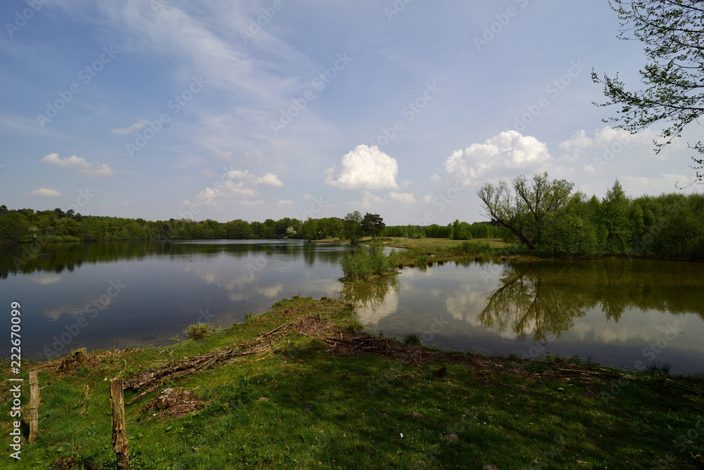 Güsenhofsee bei Paderborn, NRW, Naturschutzgebiet, nature reserve Stock  Photo | Adobe Stock