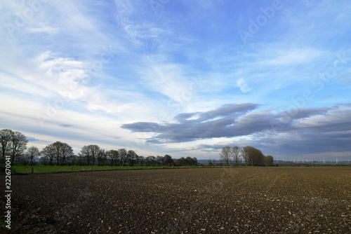 Gepfluegtes Feld mit Baeumen im Hintergrund  blauer Himmel mit Wolken  Plowed field with trees in the background  blue sky with clouds