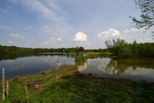 Güsenhofsee bei Paderborn, NRW, Naturschutzgebiet, nature reserve