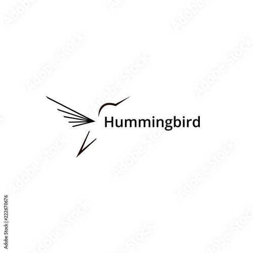 hummingbird logo. vector design