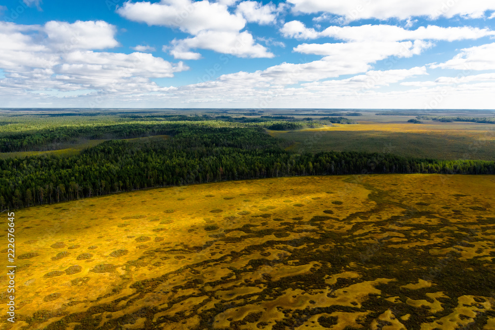 Vasyugan swamp from aerial view. The biggest swamp in the World. Taiga