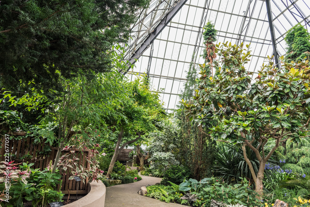 path in conservatory path in conservatory