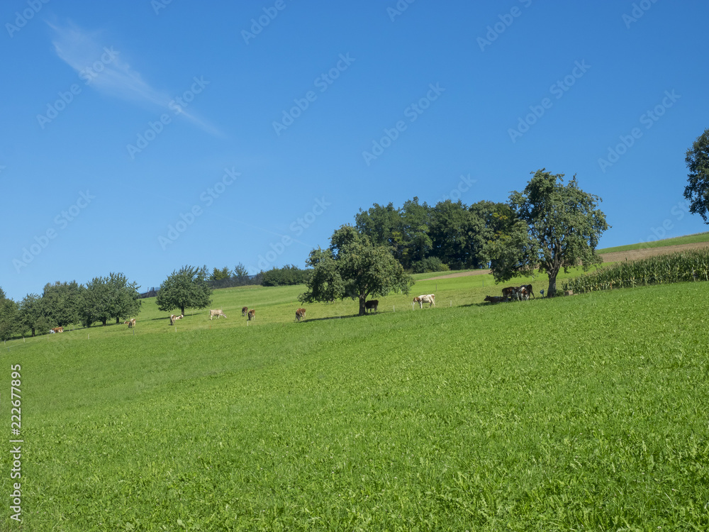 Randonnée autour du lac de Sempach (Sempachersee) dans le canton de Lucerne en Suisse en suivant le sentier de Rome (Römerweg) Randonnée autour du lac de Sempach (Sempachersee) dans le canton de Lucerne en Suisse en suivant le sentier de Rome (Römerweg)