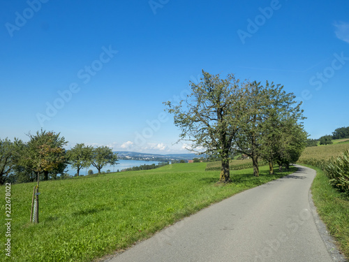 Randonnée autour du lac de Sempach (Sempachersee) dans le canton de Lucerne en Suisse en suivant le sentier de Rome (Römerweg)