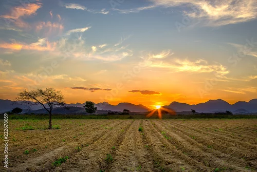 Fototapeta zachód słońca nad polem