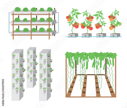 Set of hydroponic plant growth systems. Vegetables and grass growing in nutrient flow systems with water in greenhouse without soil. Color vector illustration. Modern biotechnology