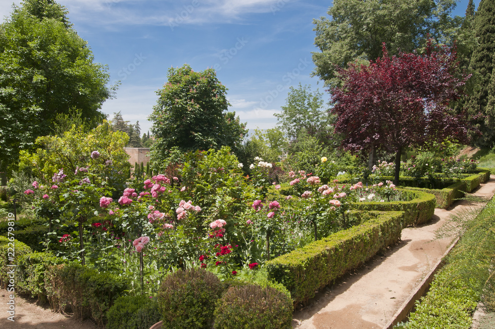 Fototapeta premium Generalife, ogrody, Granada, Andaluzja, Hiszpania
