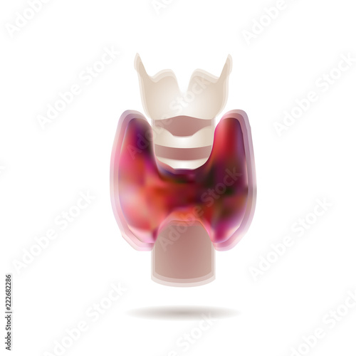 vector illustration of diagram of thyroid gland. EPS 10
