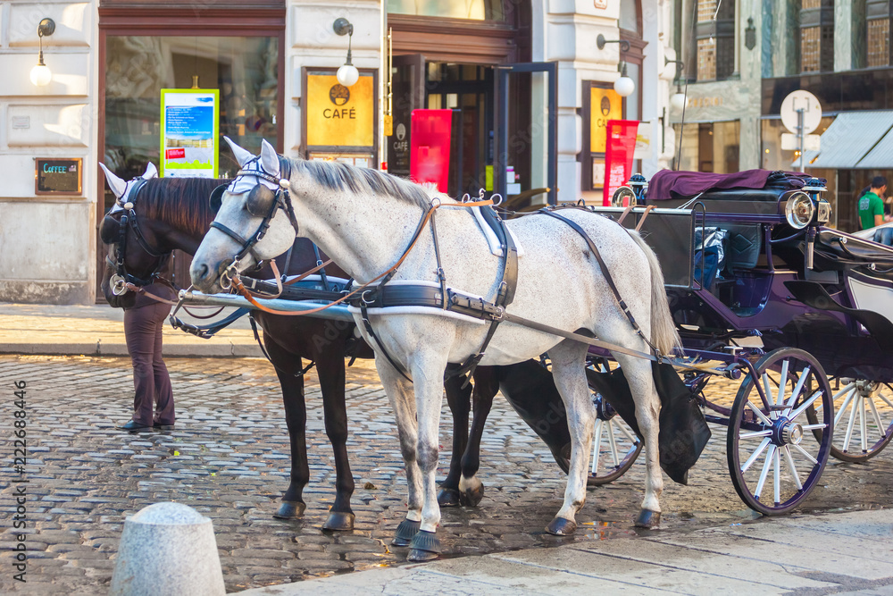 Horse-drawn carriage or Fiaker, popular tourist attraction, on Michaelerplatz in Vienna, Austria Horse-drawn carriage or Fiaker, popular tourist attraction, on Michaelerplatz in Vienna, Austria