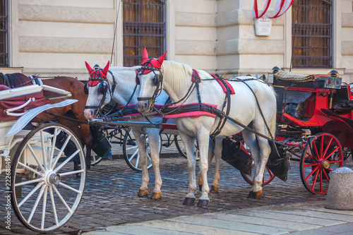 Canvas Print Horse-drawn carriage or Fiaker, popular tourist attraction, on Michaelerplatz in