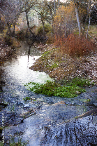 BOSQUE Y RIO